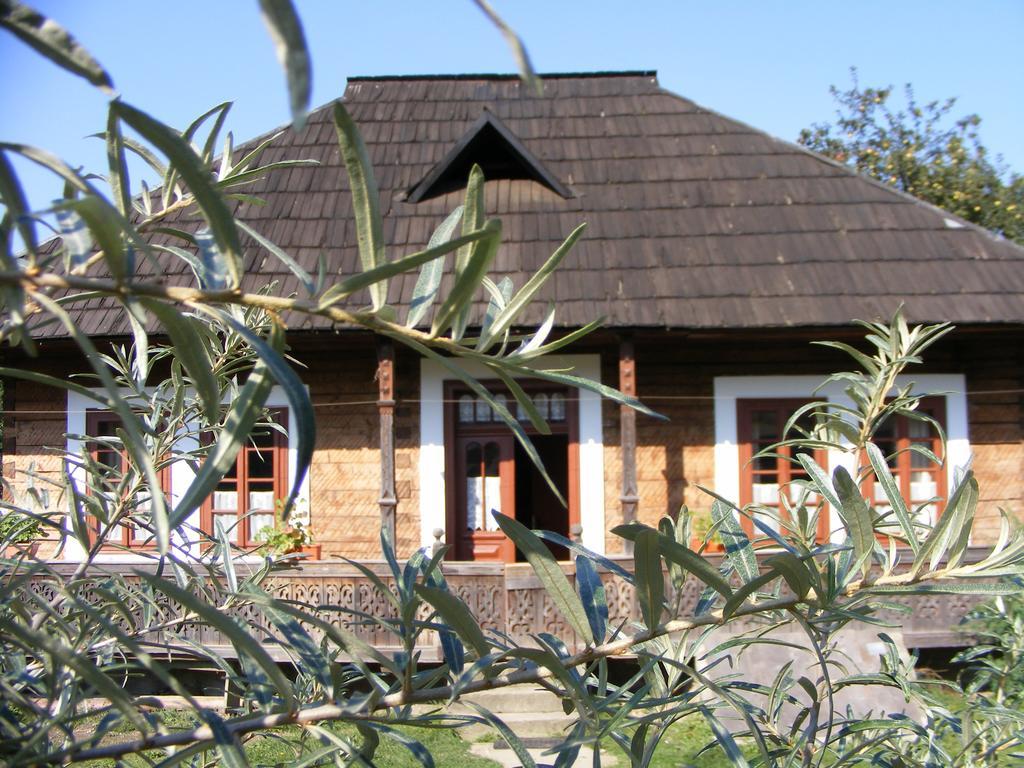 Casa Bunicii Din Bucovina Villa Vama  Ngoại thất bức ảnh